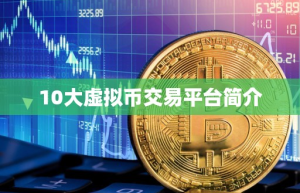 10大虚拟币交易平台简介
