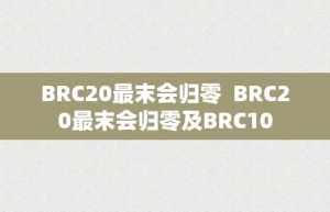 BRC20最末会归零  BRC20最末会归零及BRC10