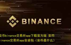 安币binance交易所app下载官方版 安币binance交易所app安装包（安币是什么）