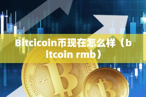 Bitcicoin币现在怎么样（bitcoin rmb）