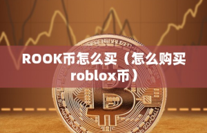 ROOK币怎么买（怎么购买roblox币）