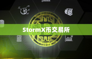 StormX币交易所