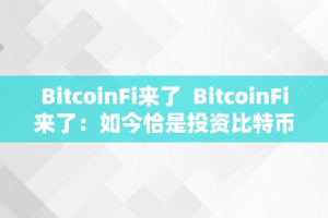 BitcoinFi来了  BitcoinFi来了：如今恰是投资比特币的时候